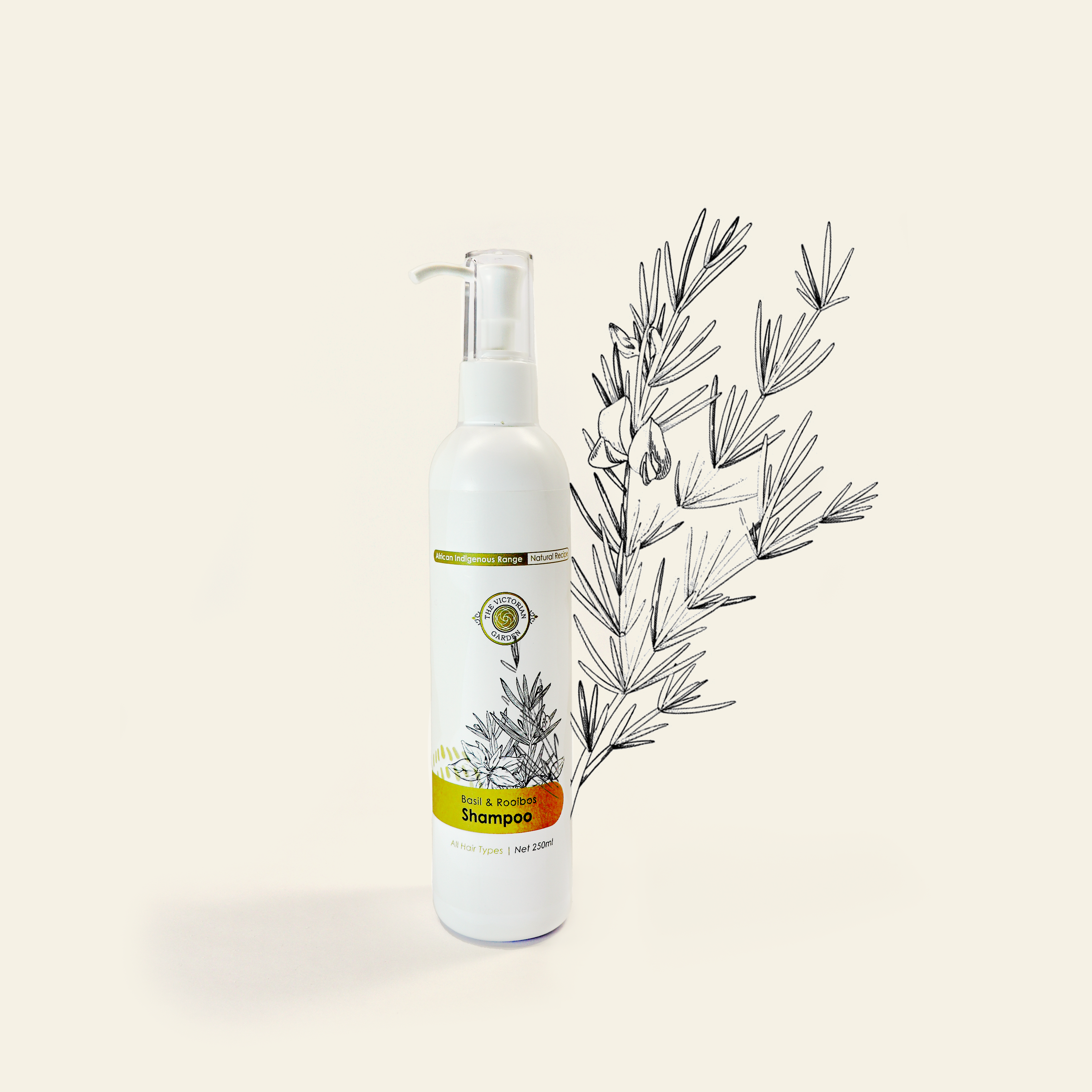 Basil & Rooibos Shampoo