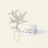 Mango & Vanilla Body Butter