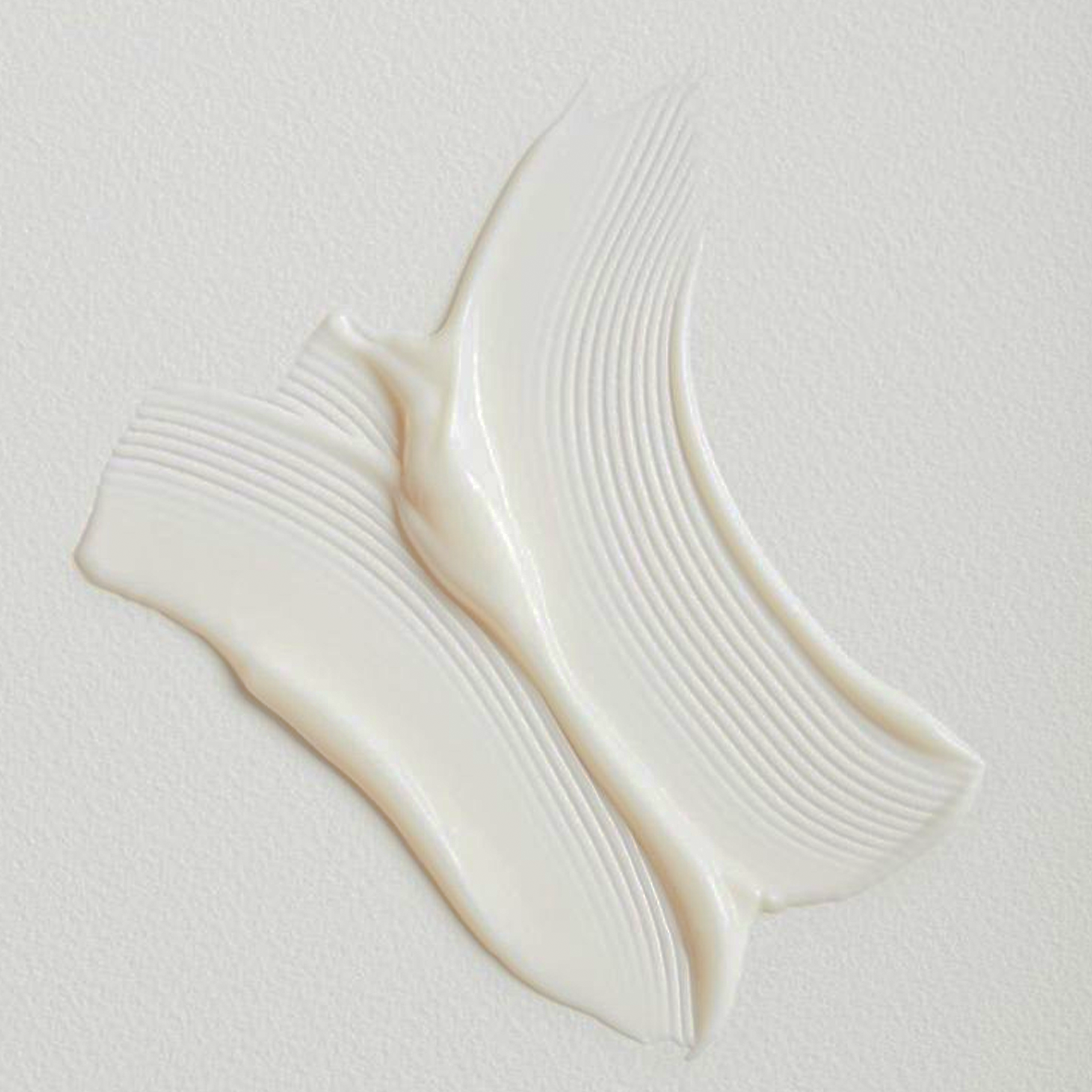 Argan & Vanilla Hair Conditioner