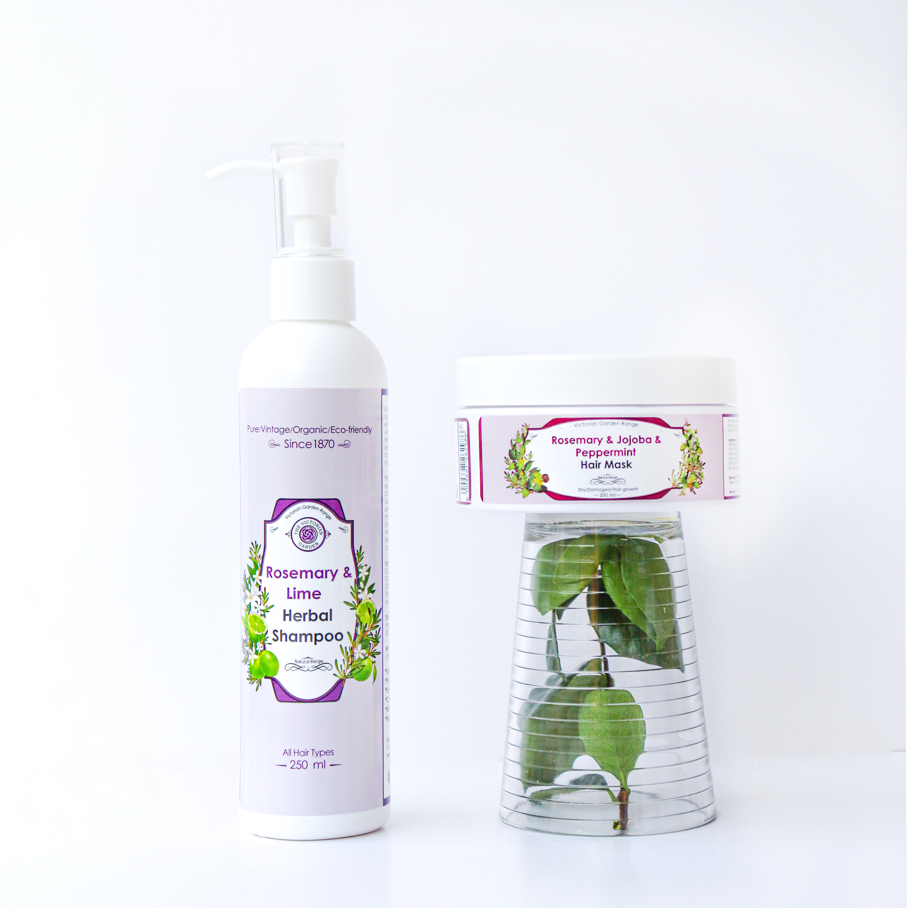 Hair Loss & Oily Sculp Full Set