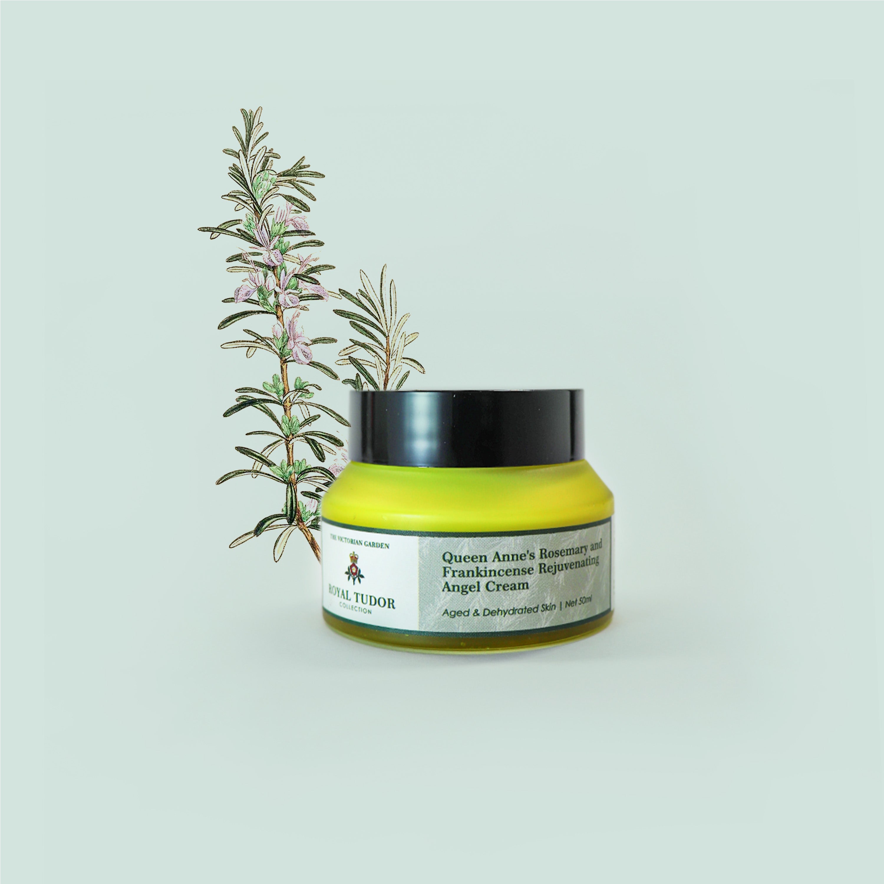 Queen Anne's Rosemary and Frankincense Rejuvenating ''Angel''Cream