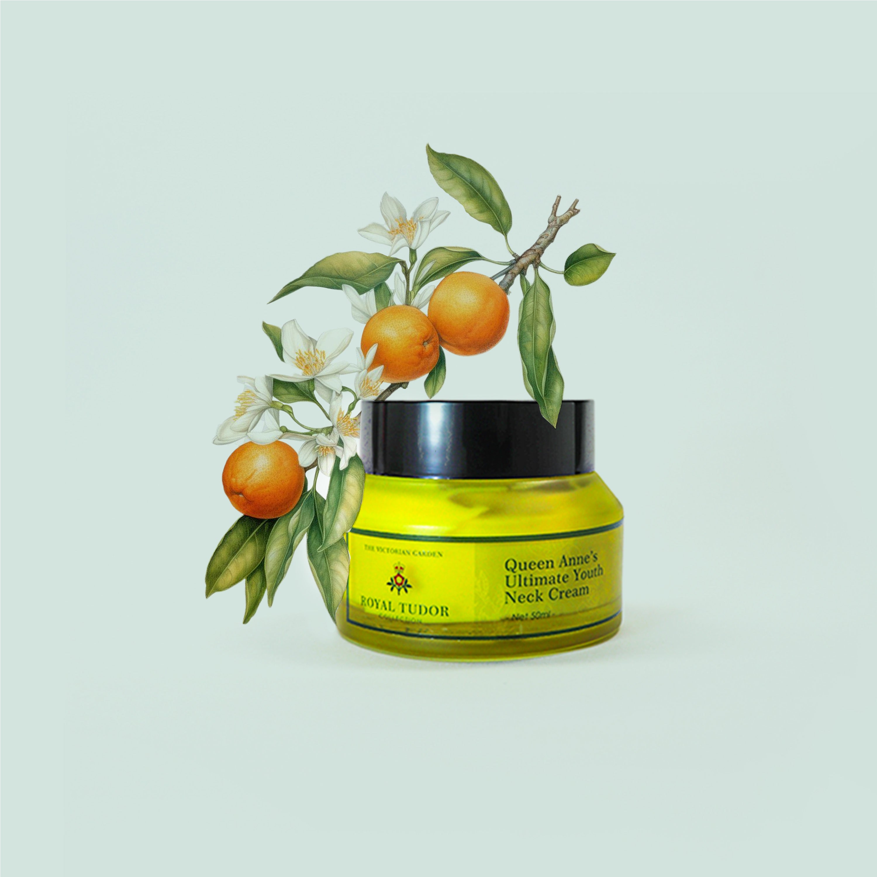 Queen Anne's Ultimate Youth Neck Cream