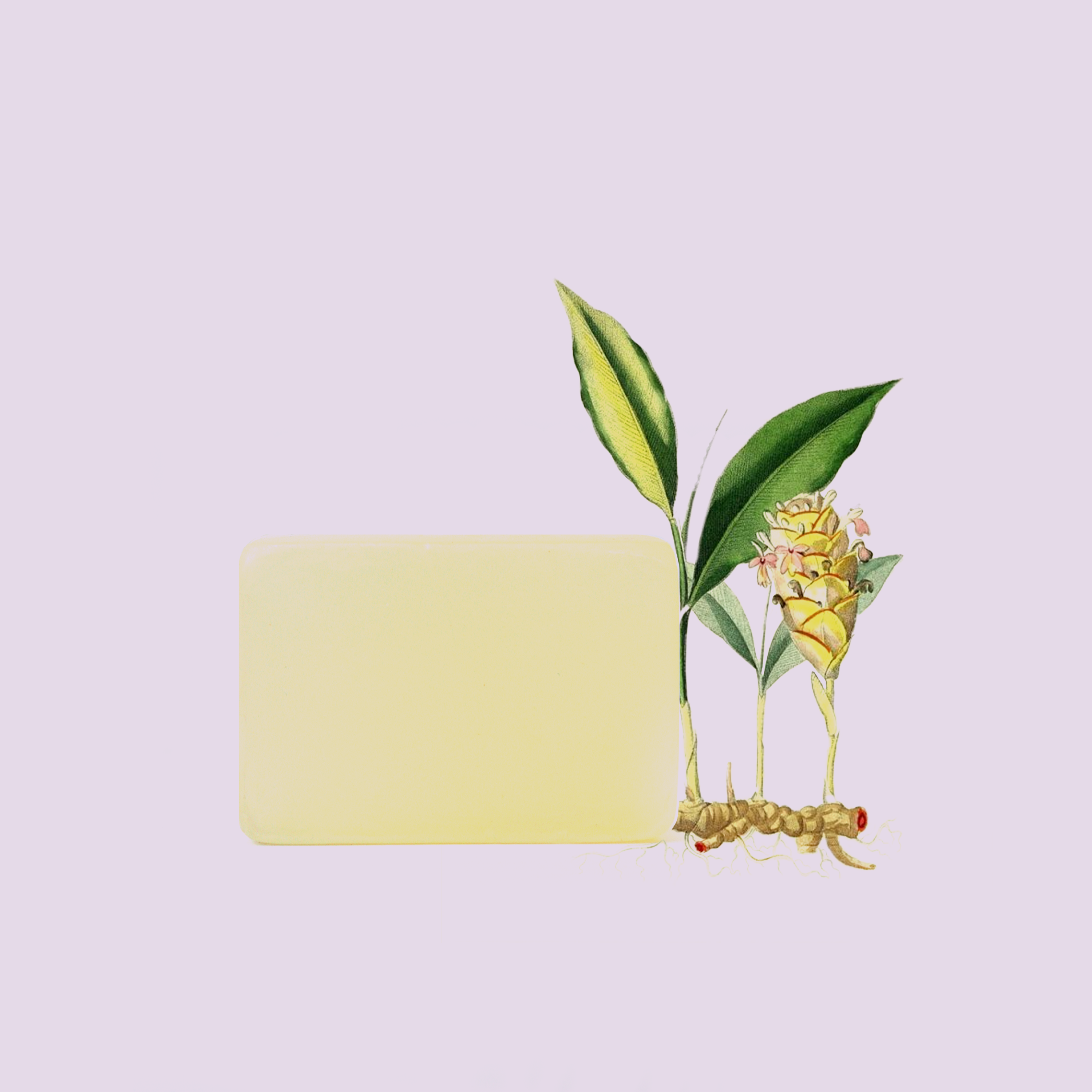 Turmeric, Sandalwood & Neroli Soap