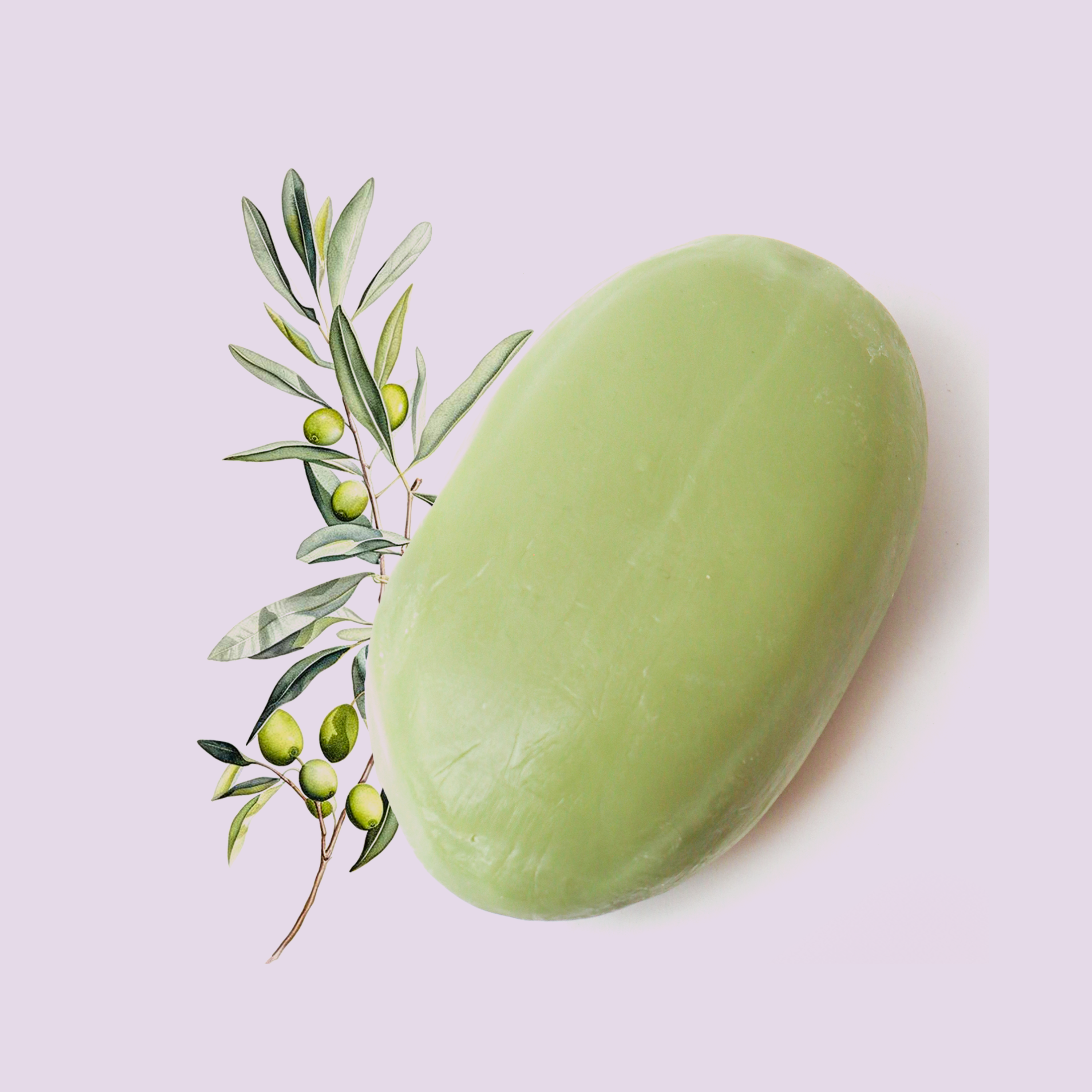 Green Olive Men's Stone Soap
