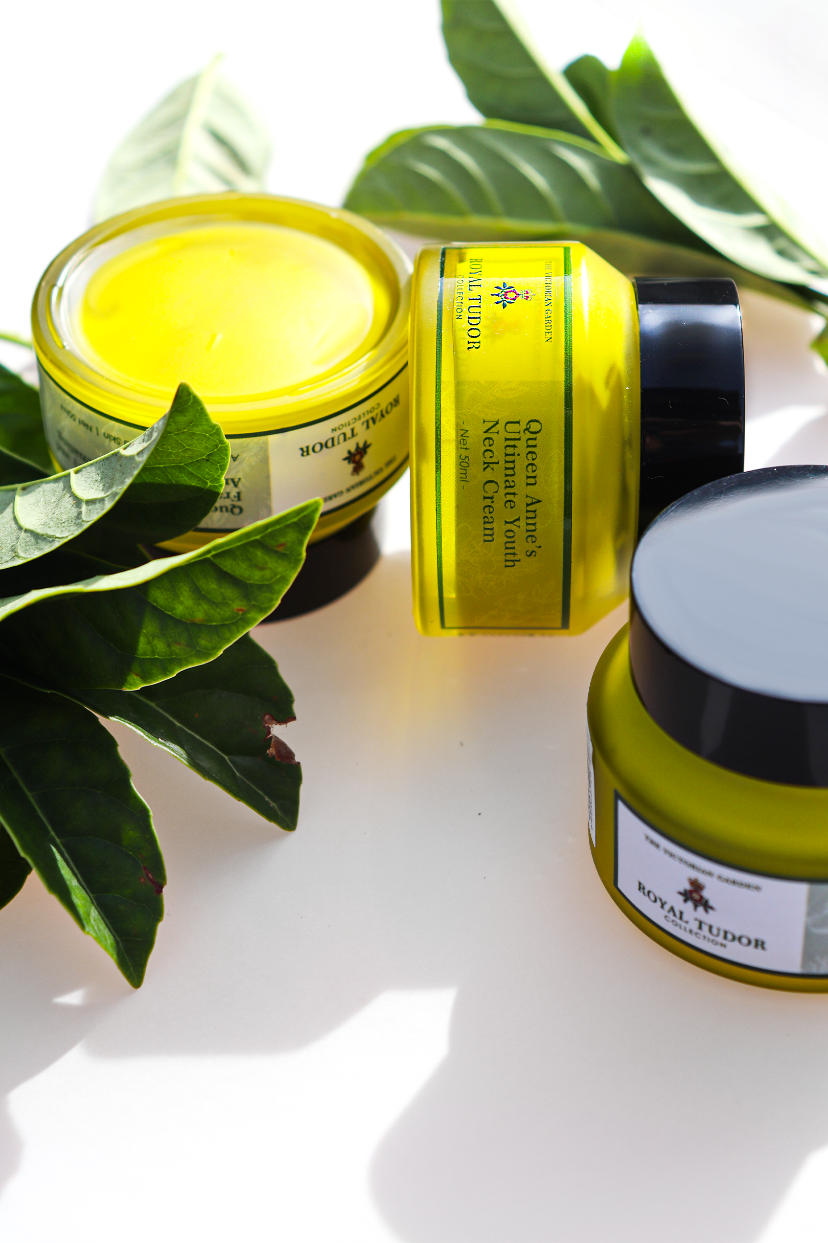 The Anti-Aging Power of Essential Oils