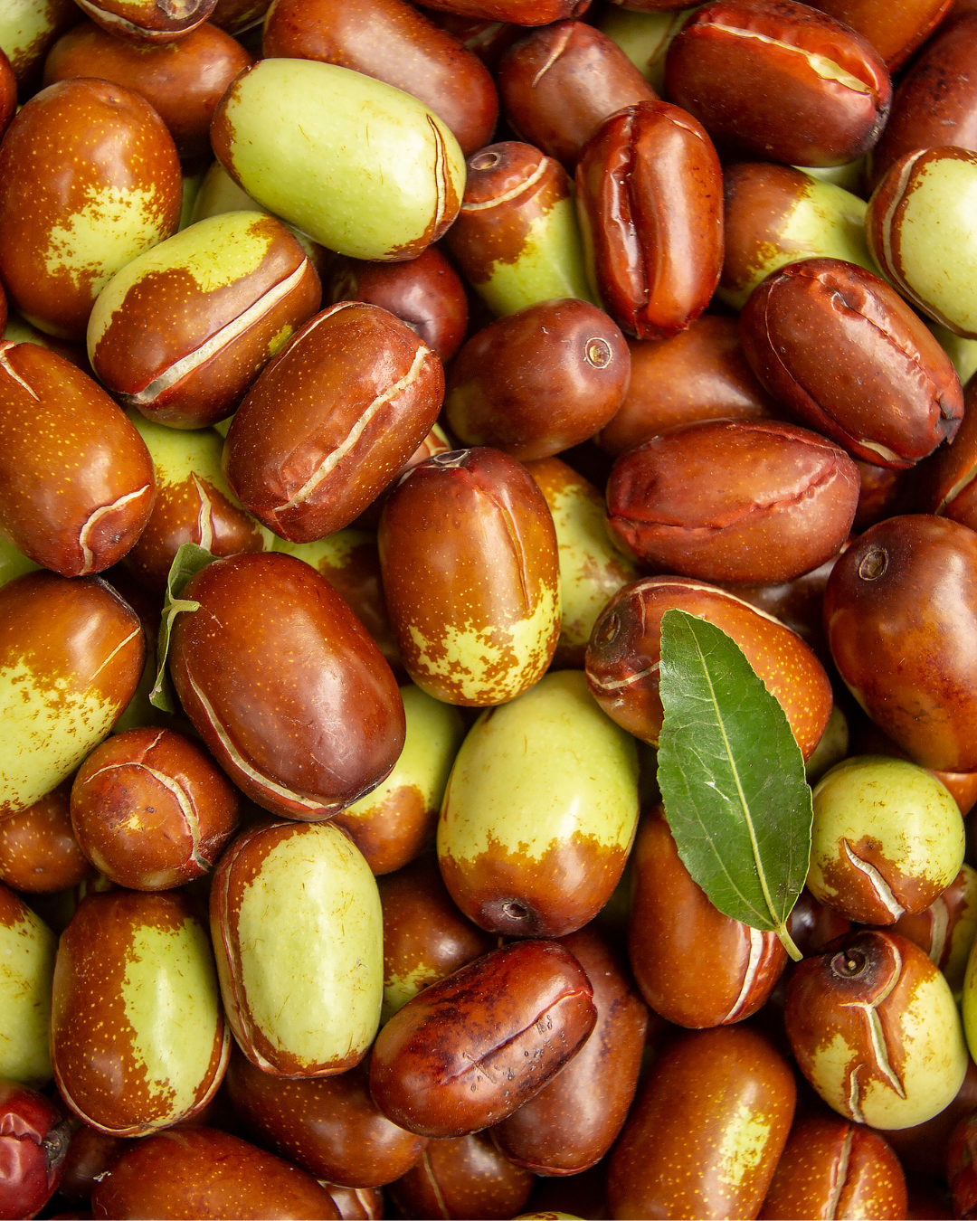 Jojoba Oil: A Biochemically Unique Ingredient in Skin Barrier Support