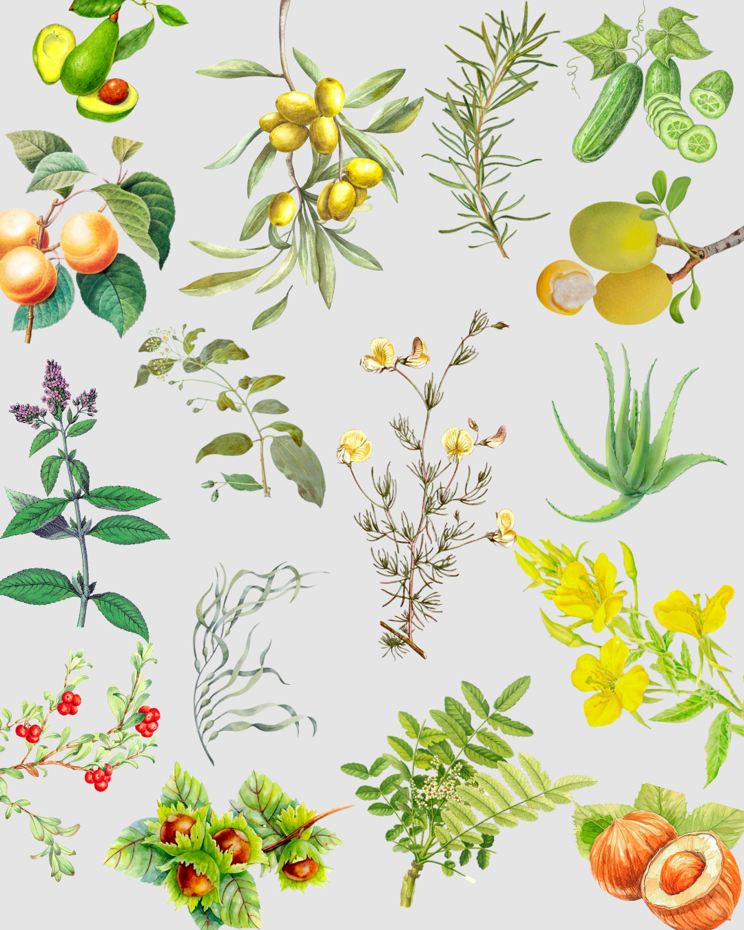 Why Your Skin Doesn’t Need More Products — It Needs Better Ingredients