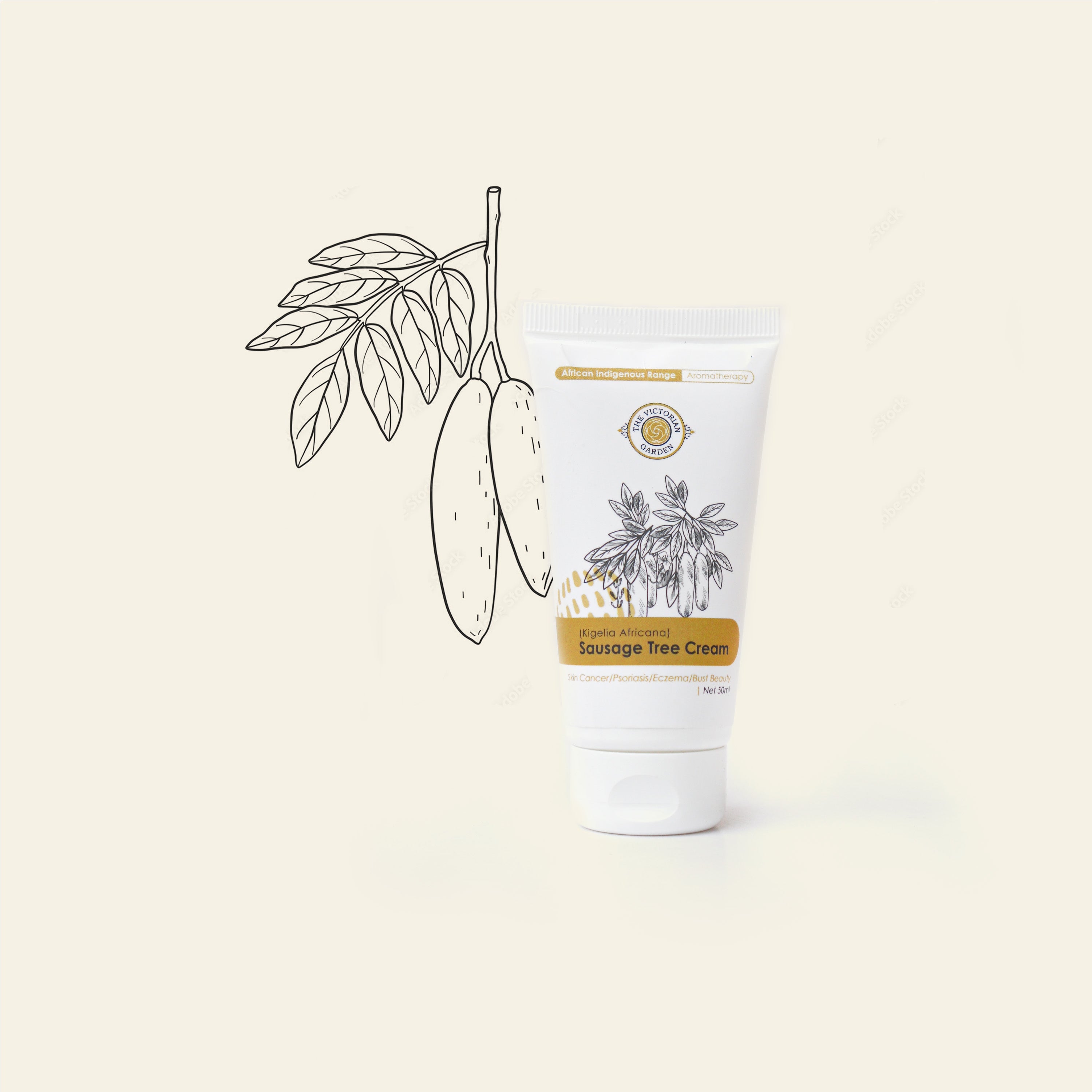 Sausage Tree Cream (Kigelia Africana)