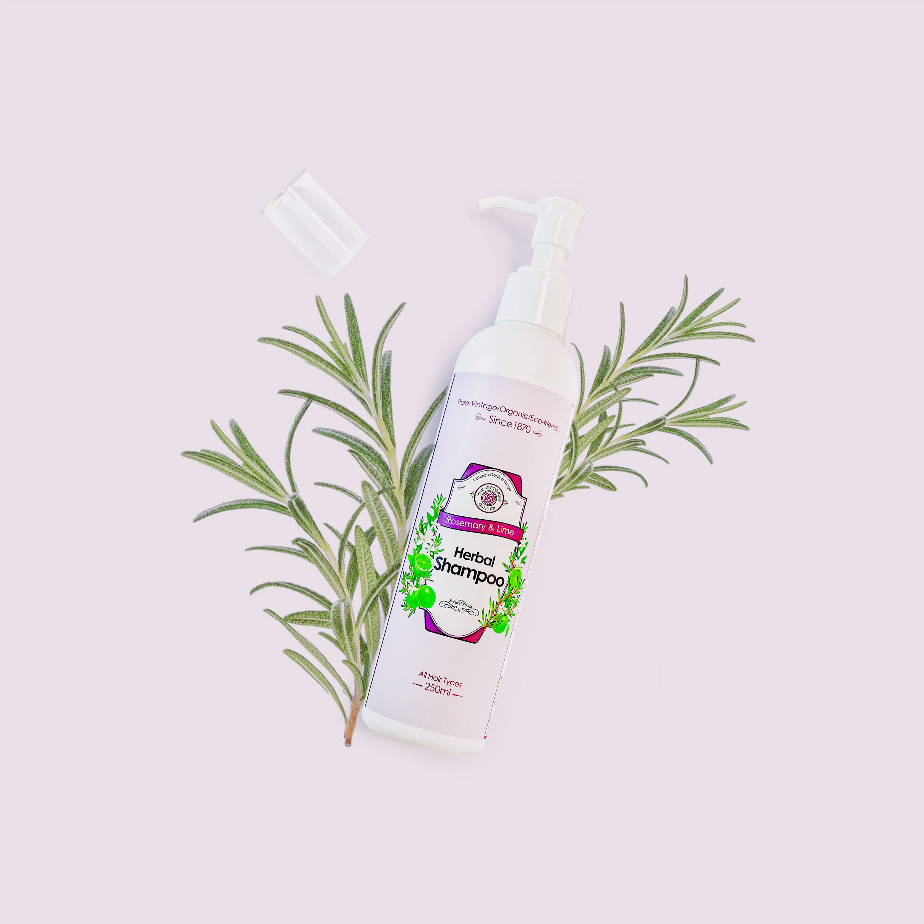 Rosemary & Lime Herbal Shampoo