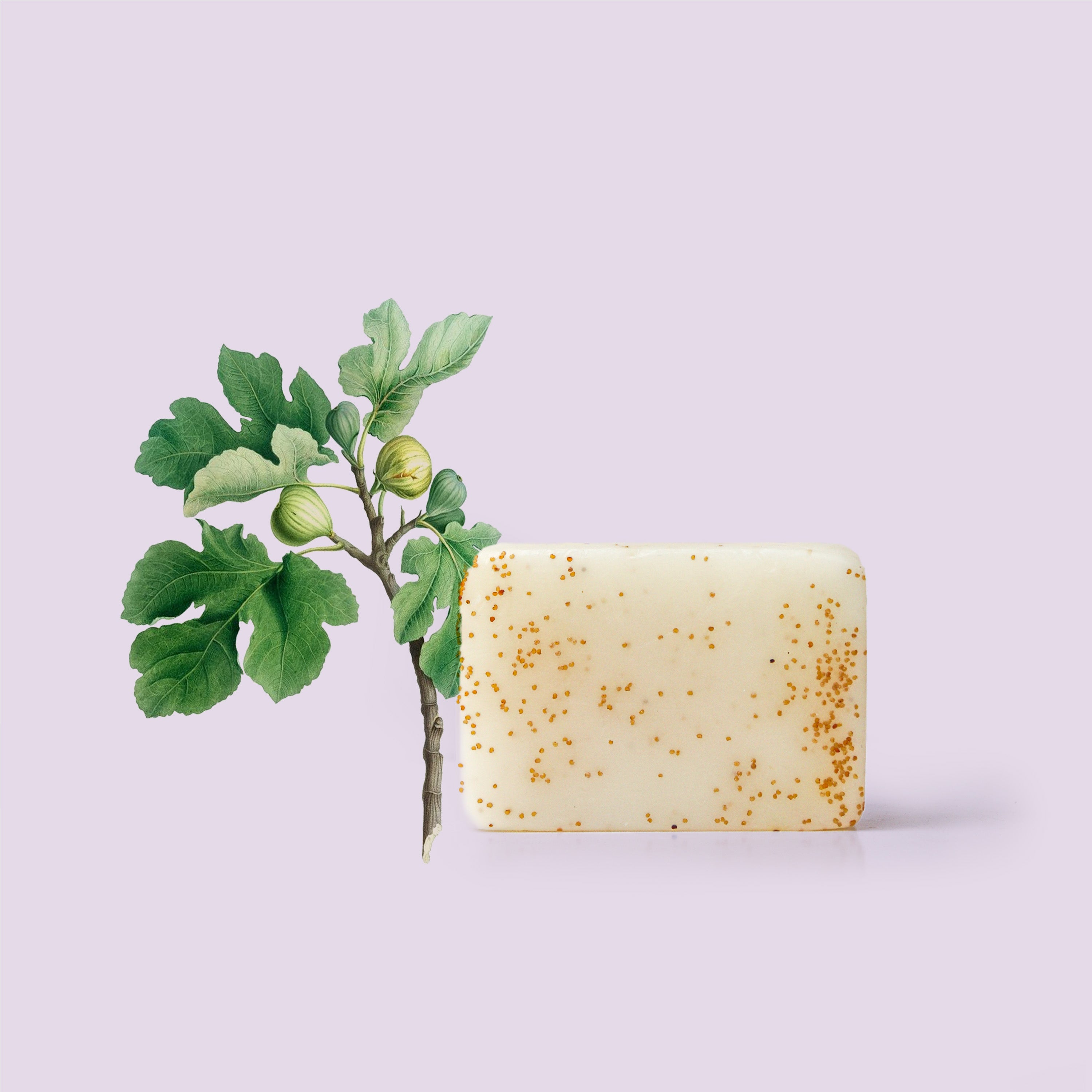Fig & Poppy Seed Soap