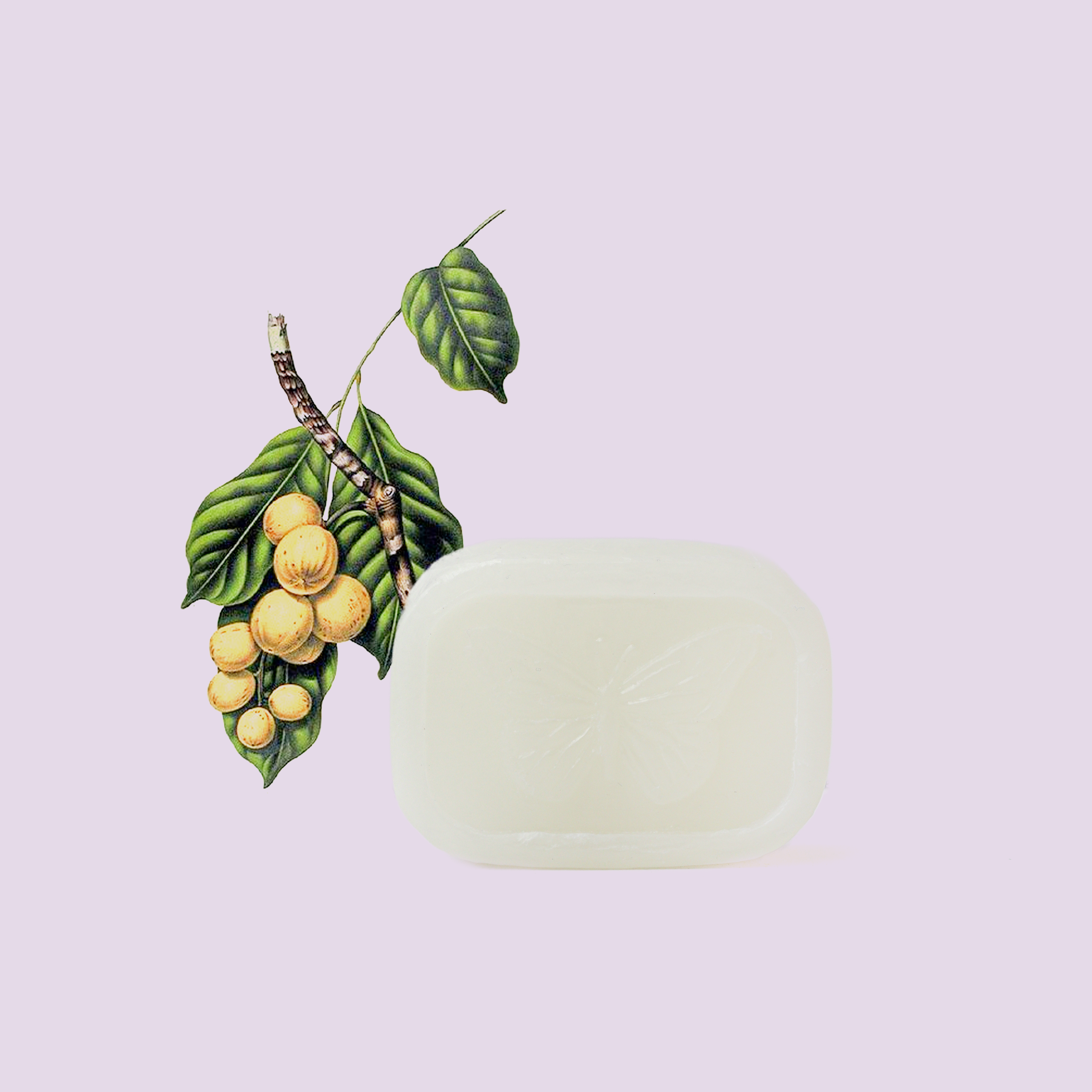 Shea Butter Baby Soap - Fragrance Free