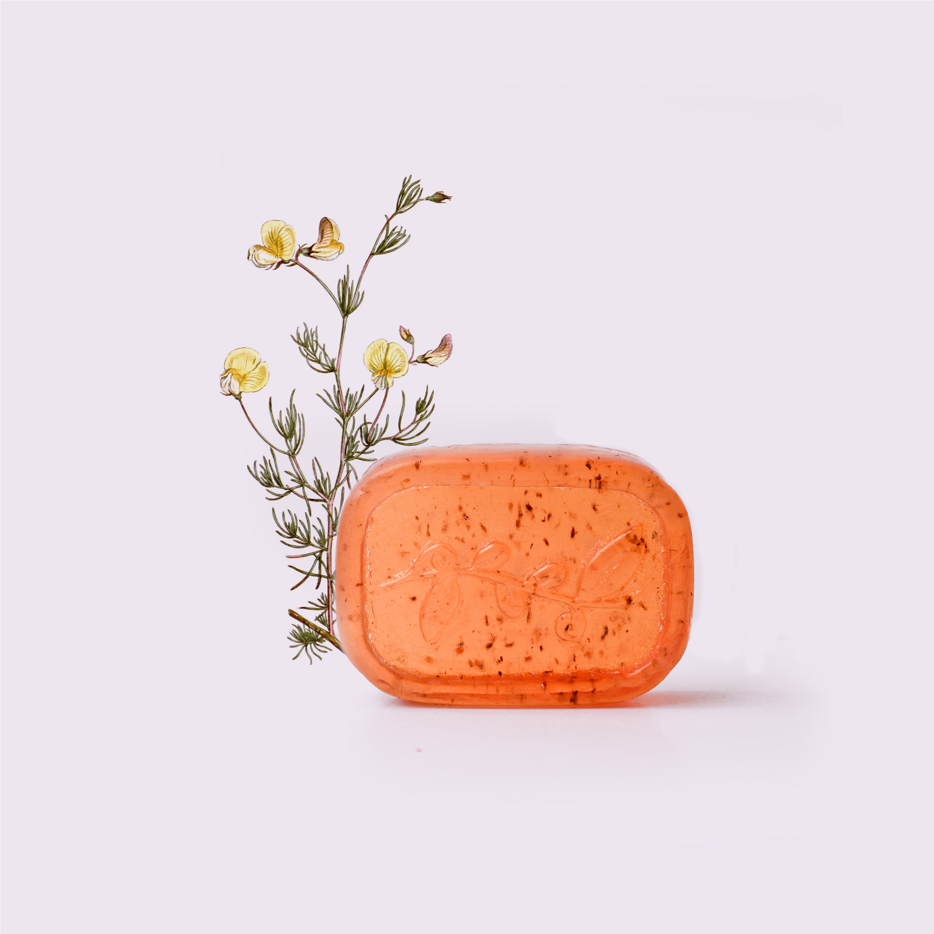 Rooibos & Honey Soap