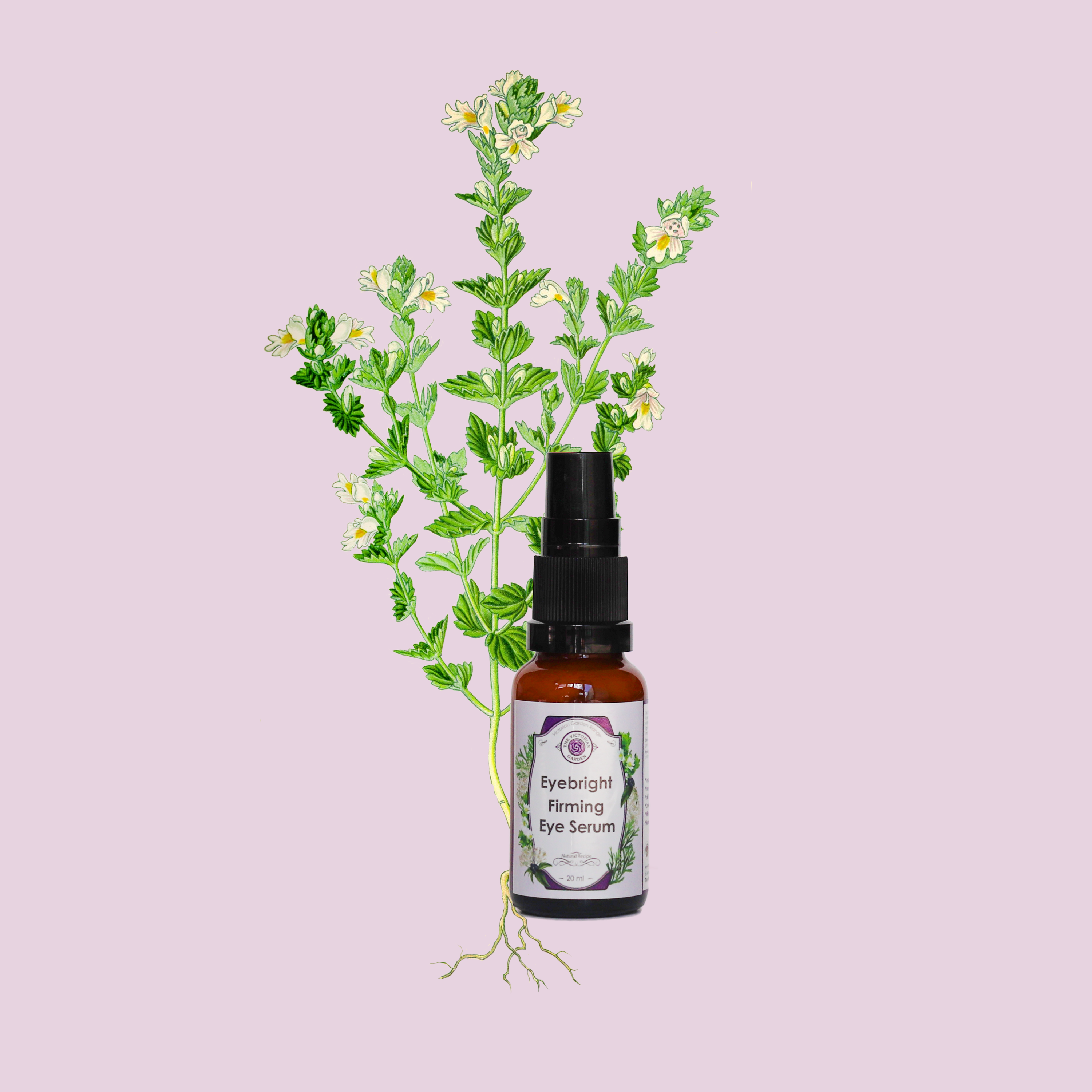 Eyebright Firming Eye Serum