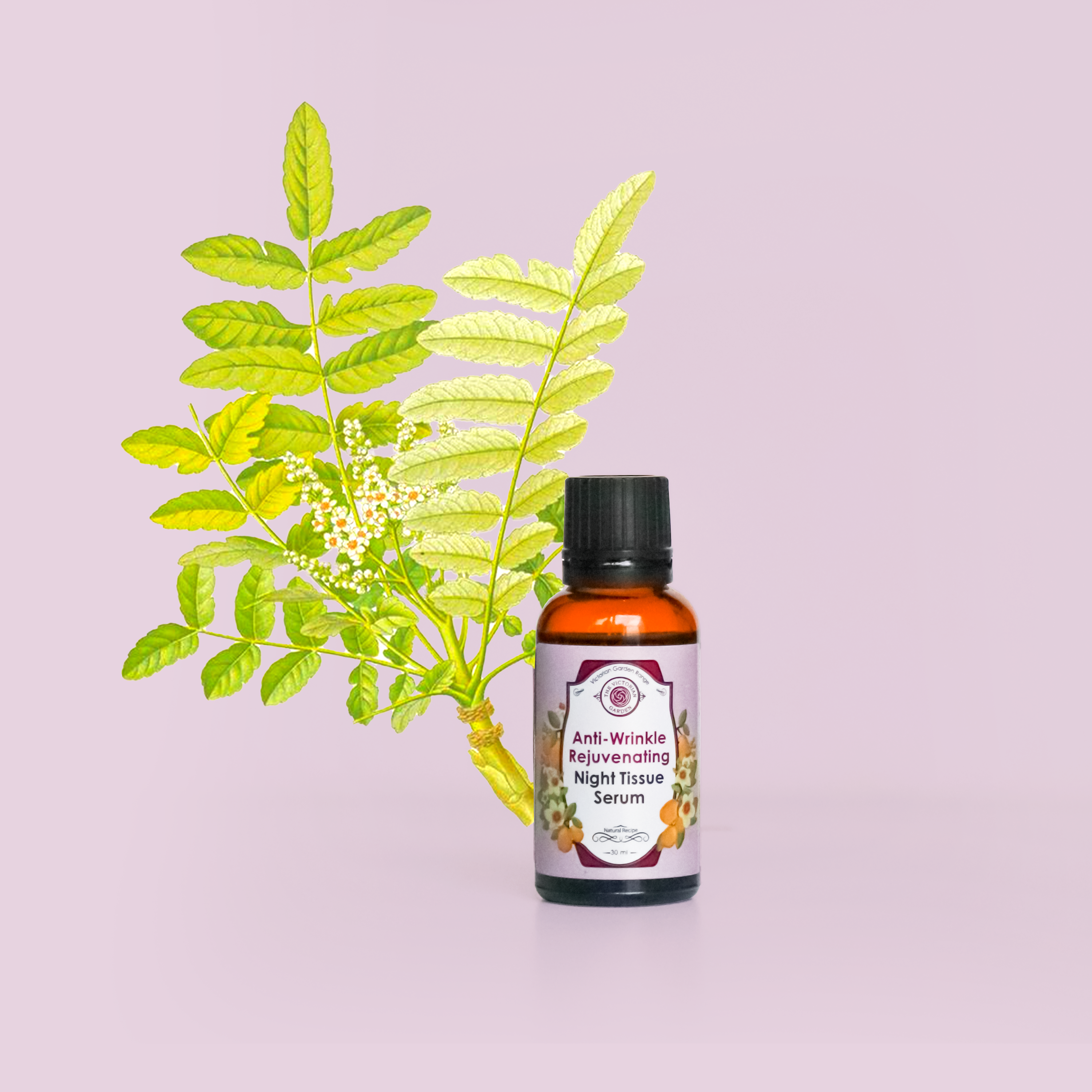 Anti-Wrinkle Rejuvenating Night Tissue Serum