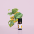 Rejuvenating Eye Tissue Serum